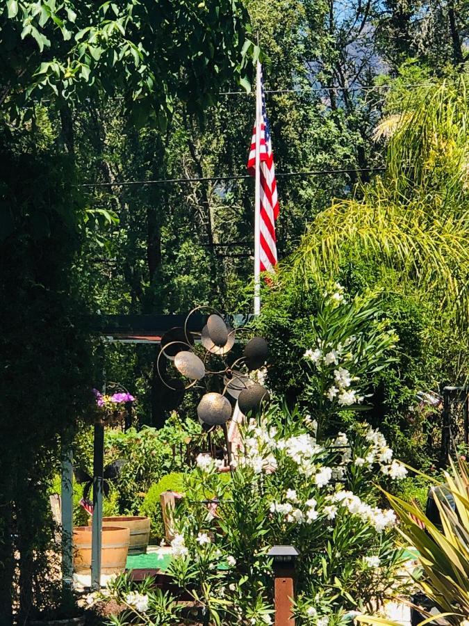 Bed and Breakfast Foothill House Calistoga Esterno foto