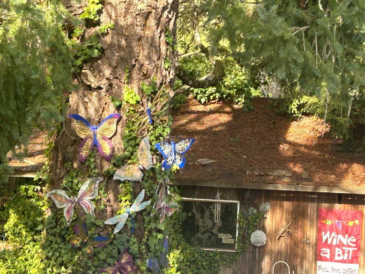 Bed and Breakfast Foothill House Calistoga Esterno foto