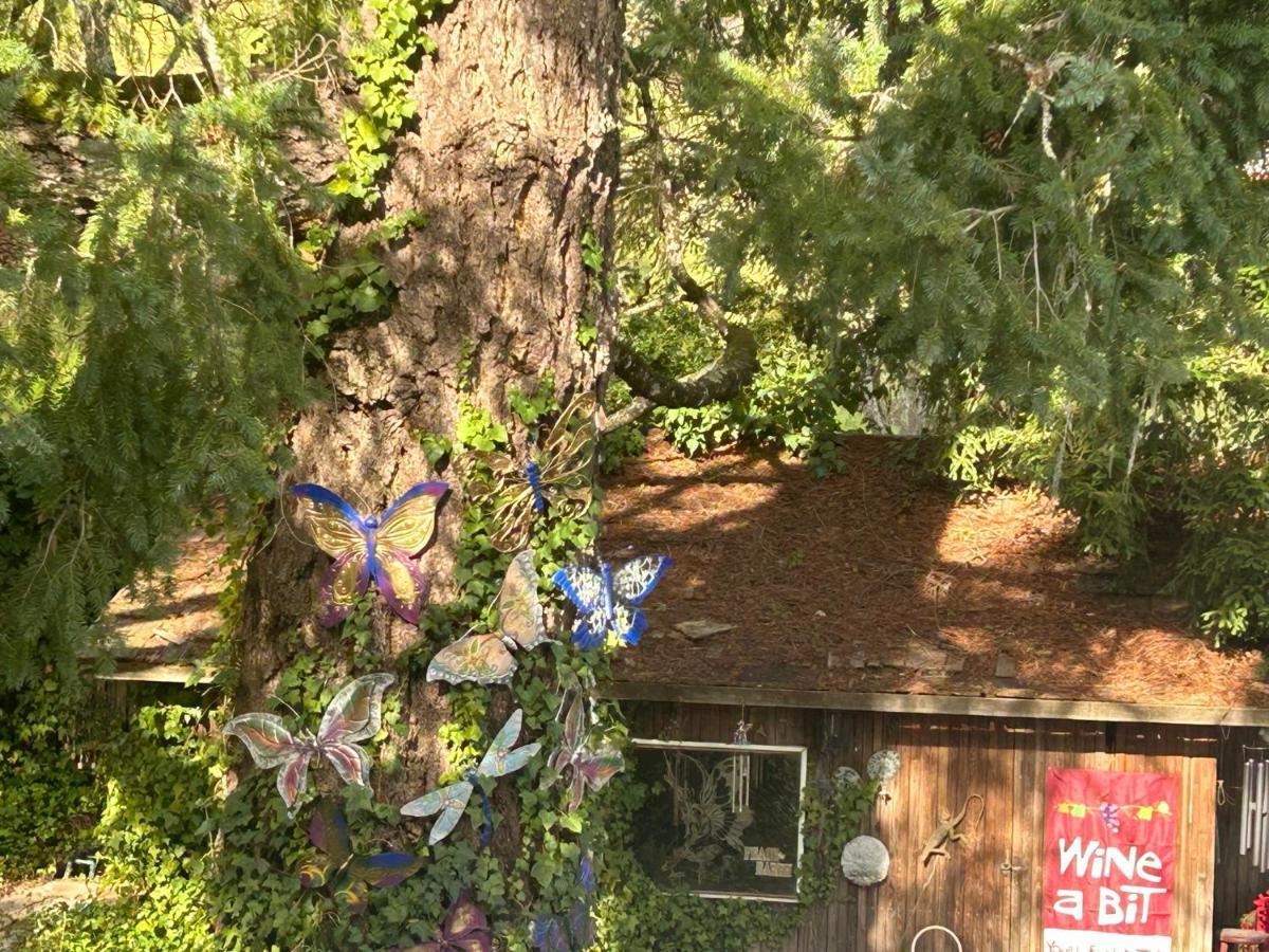 Bed and Breakfast Foothill House Calistoga Esterno foto